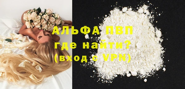спиды Новозыбков