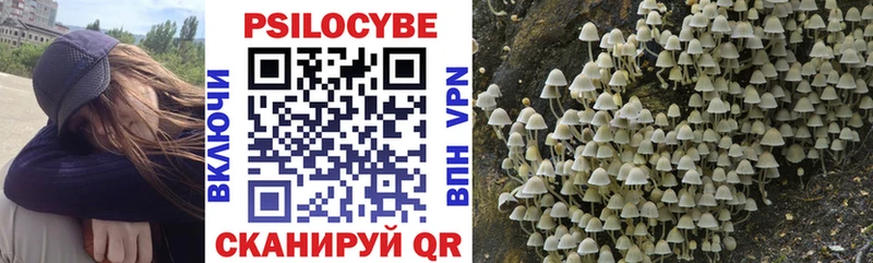 купить наркоту Курчатов Галлюциногенные грибы ЛСД